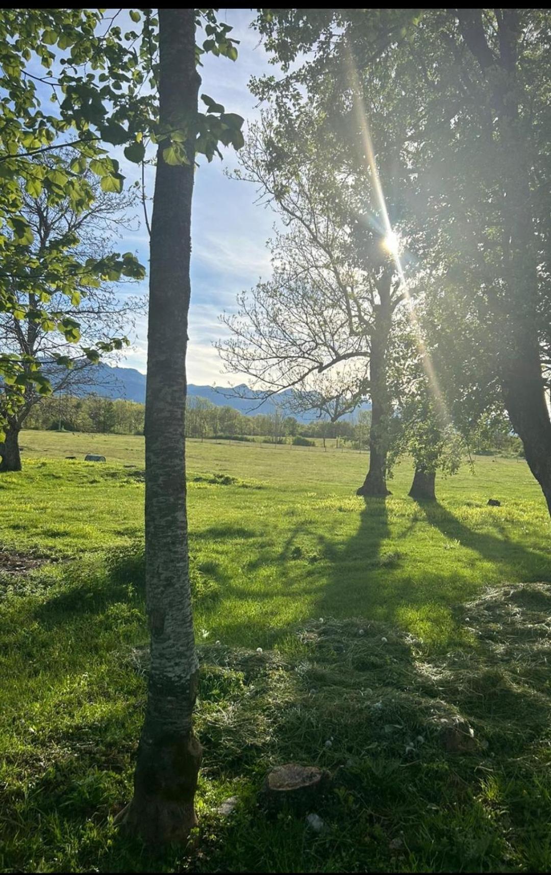 Domus Nostra Daire Lovinac  Dış mekan fotoğraf